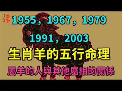 1979 羊 五行